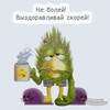 GromD