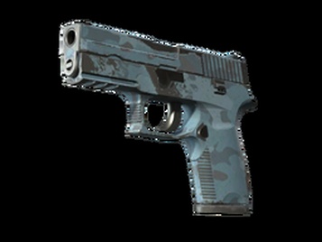 P250 | Forest Night