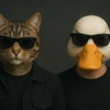 Cool_An1mals