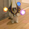 Shafrei