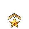 Pro